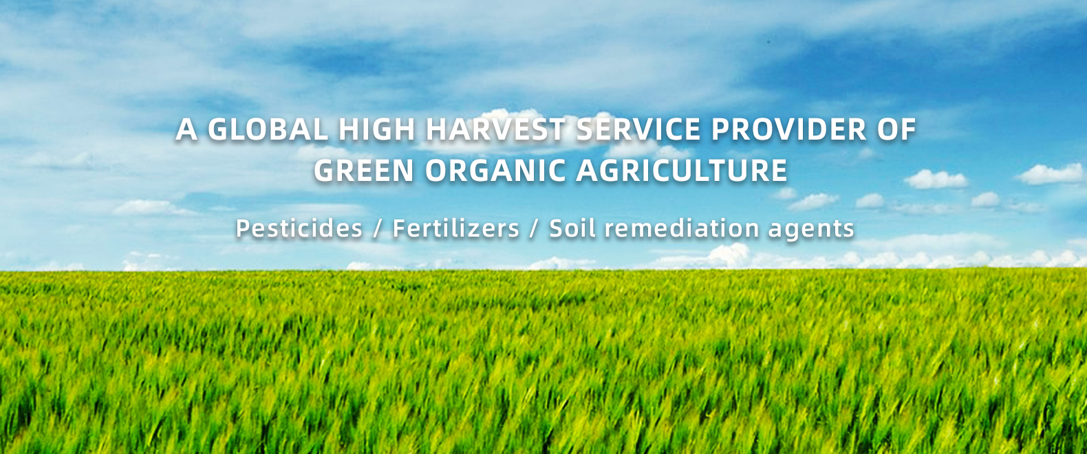 Jiangsu Sinamyang International Group Co., Ltd.