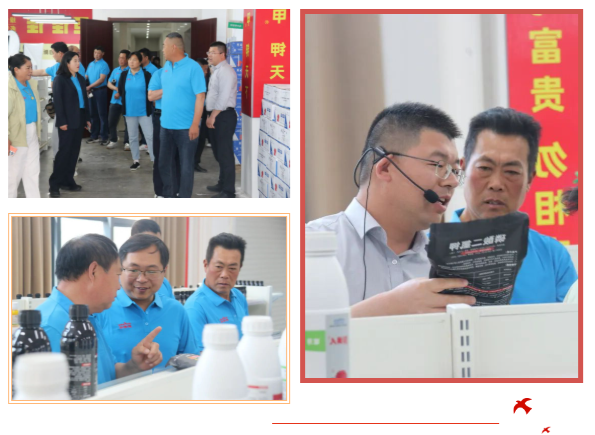 携手奋进，共赢未来——2026年盱眙巨佳®佳大客户订货交流会圆满举行