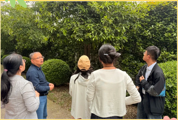 深耕园林植保赋能，新加坡新南洋集团赴靖江百蔚园实地考察交流