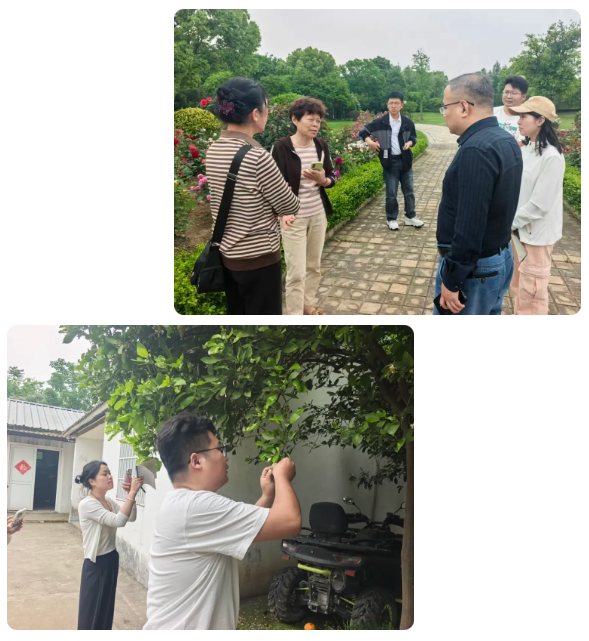 深耕园林植保赋能，新加坡新南洋集团赴靖江百蔚园实地考察交流