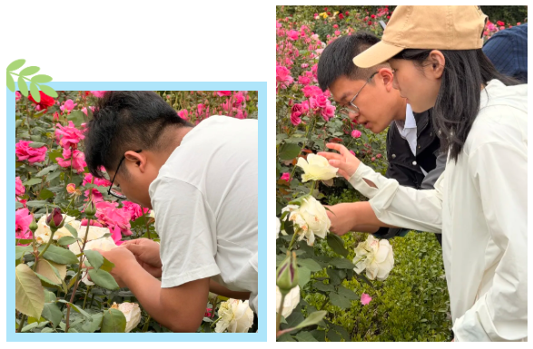 深耕园林植保赋能，新加坡新南洋集团赴靖江百蔚园实地考察交流