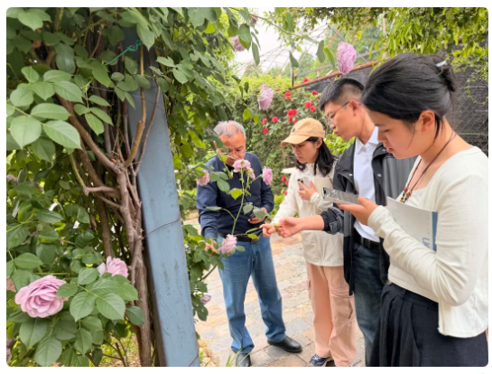 深耕园林植保赋能，新加坡新南洋集团赴靖江百蔚园实地考察交流