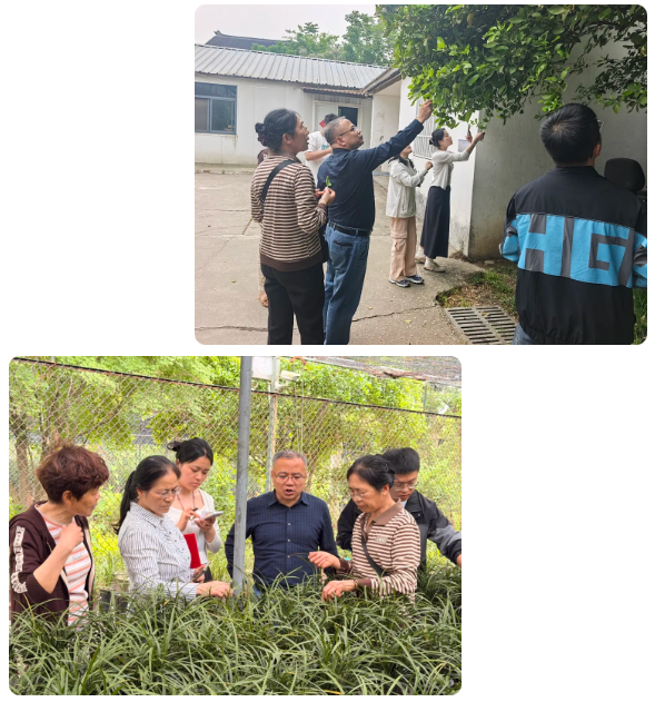 深耕园林植保赋能，新加坡新南洋集团赴靖江百蔚园实地考察交流