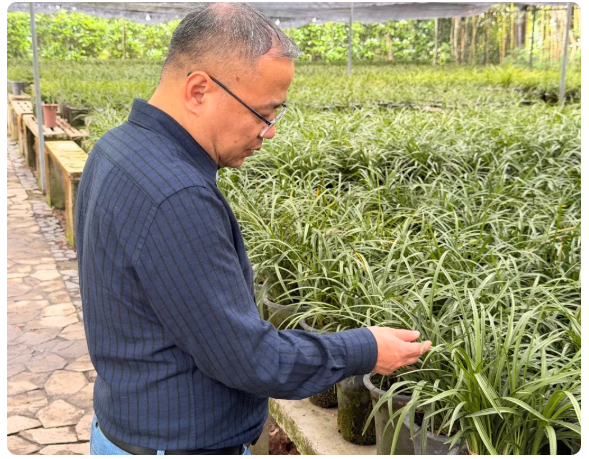 深耕园林植保赋能，新加坡新南洋集团赴靖江百蔚园实地考察交流