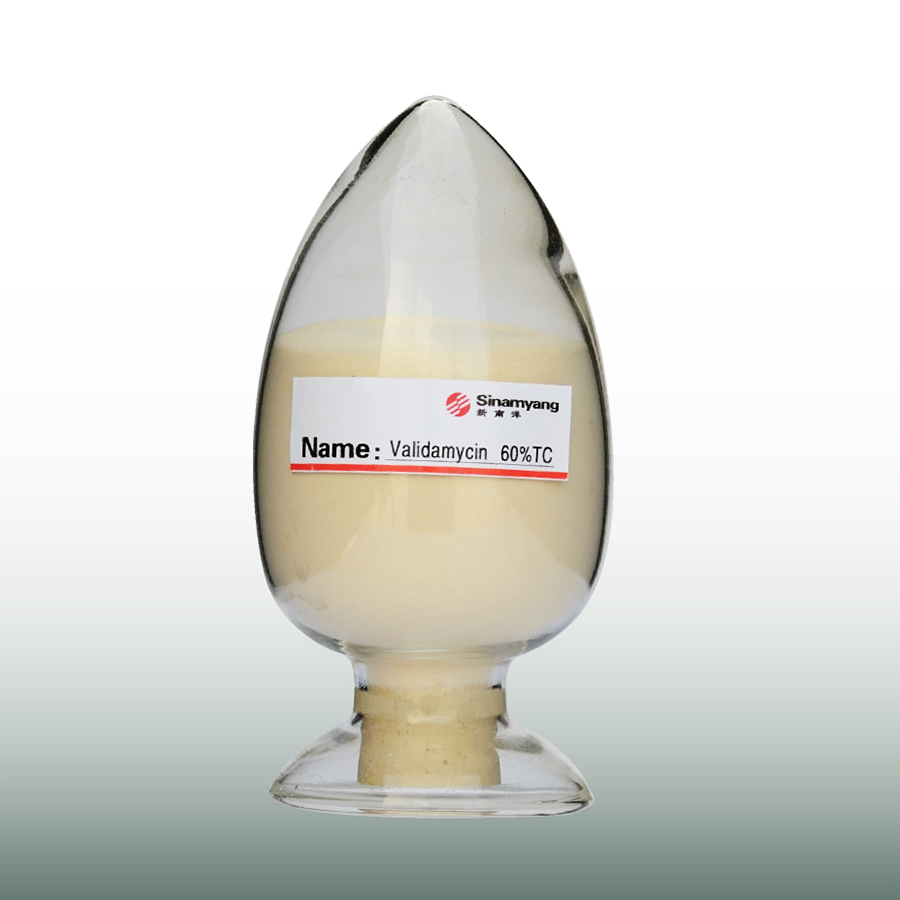 Validamycin