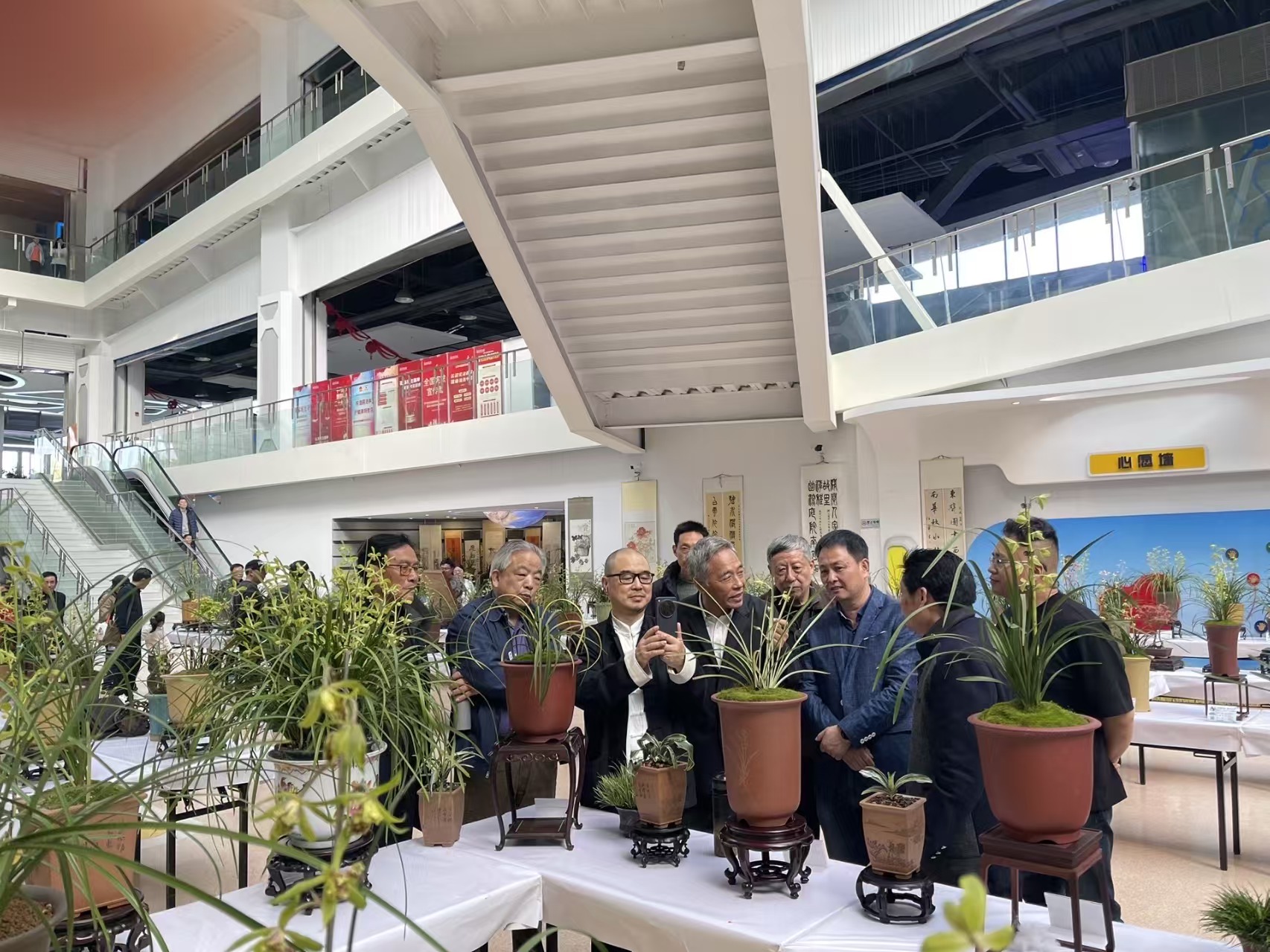 泰州这场蕙兰展，被乐苑园艺狠狠圈粉！