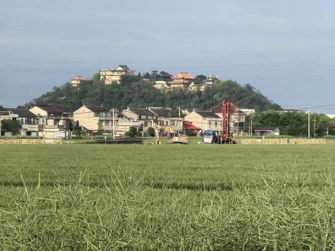 春日赴约，乐享风情——新南洋集团开展“三月三”靖江民俗团建活动