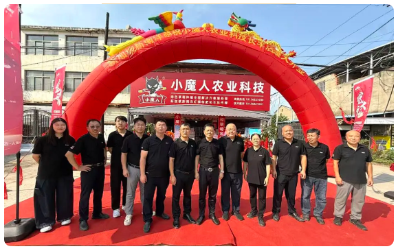 长丰草莓迎来